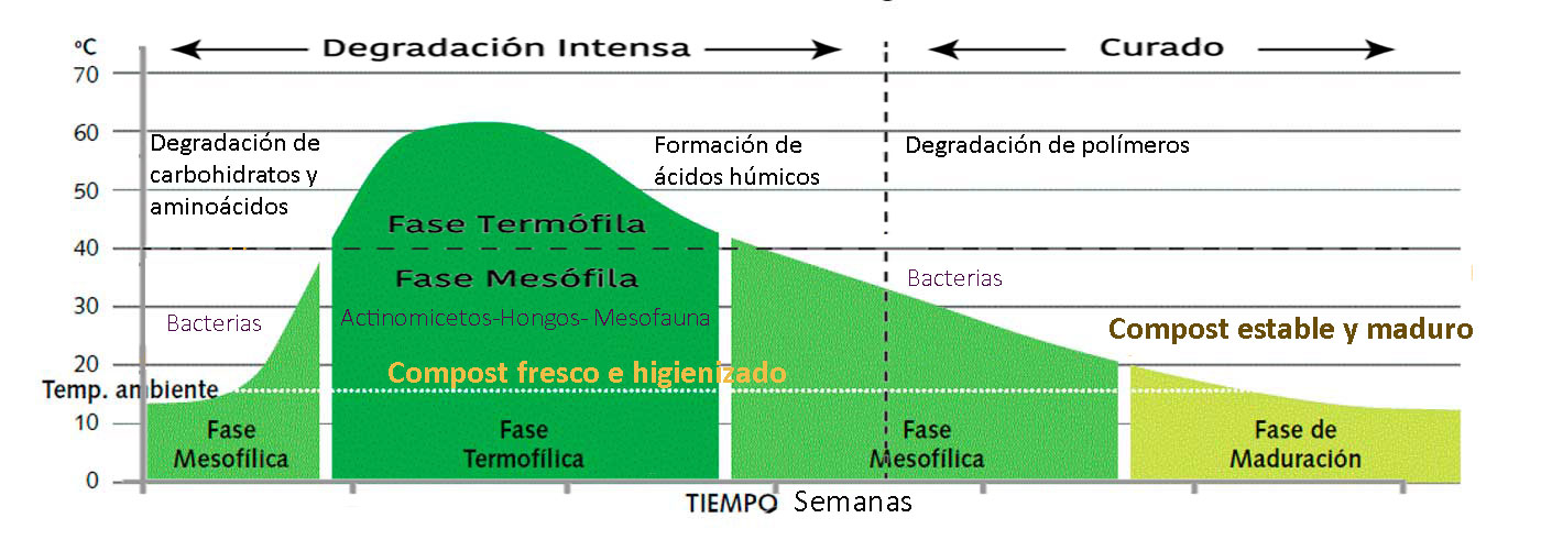 Fases del proceso de compostaje