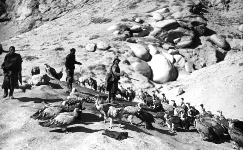 Fotografía de Ernst Schäfer realizada en 1938 en una expedición al Tibet.