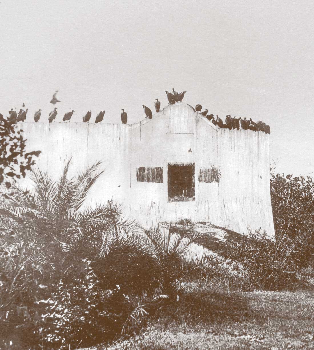 Tower of silence at Mumbai's Malabar Hill, photographed in the late 19th century 