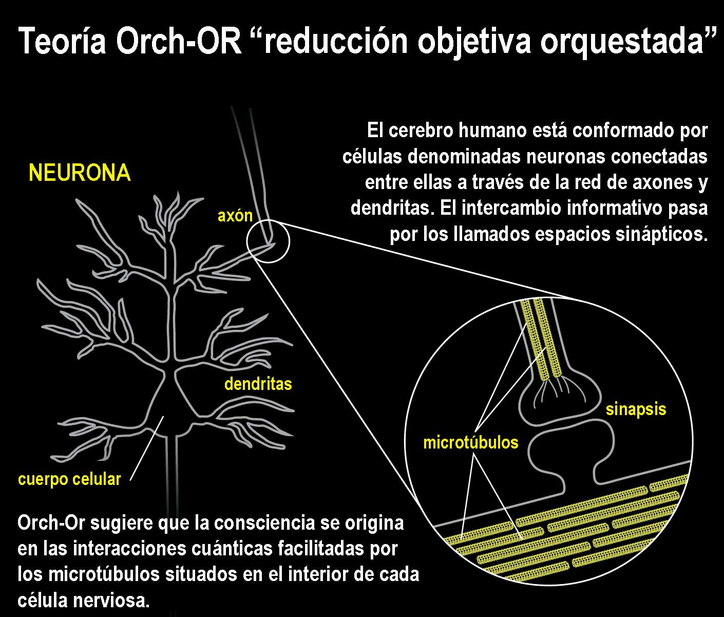 Teoría Orch OR reducción objetiva orquestada