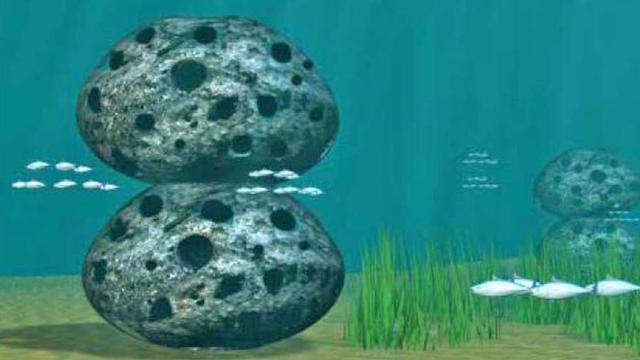 Arrecifes artificiales
