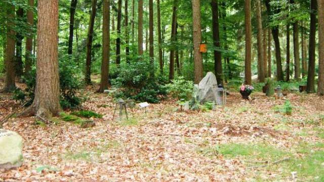 witteveen, un cementerio no natural en Holanda