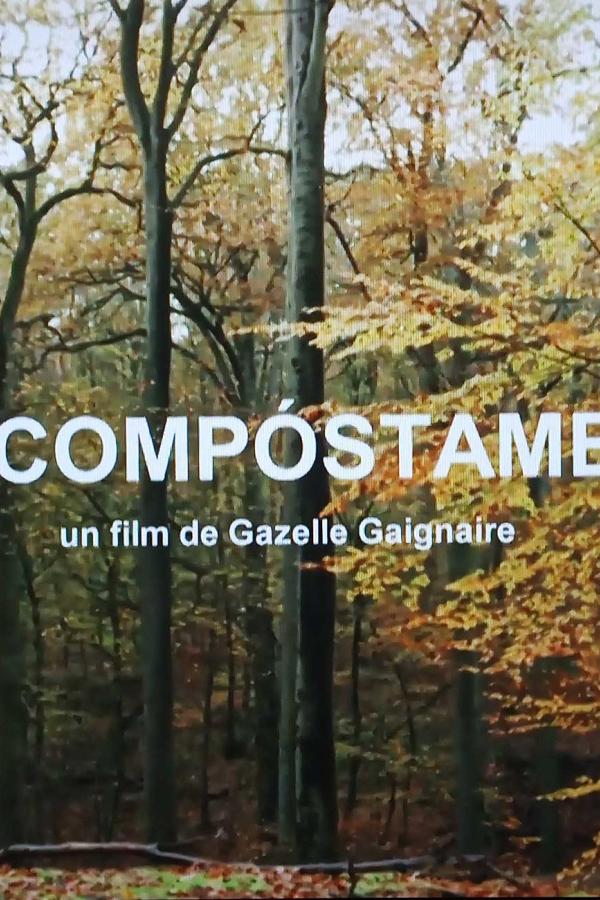 Cartel de Comóstame, un film de Gazelle Gaignaire (2024)